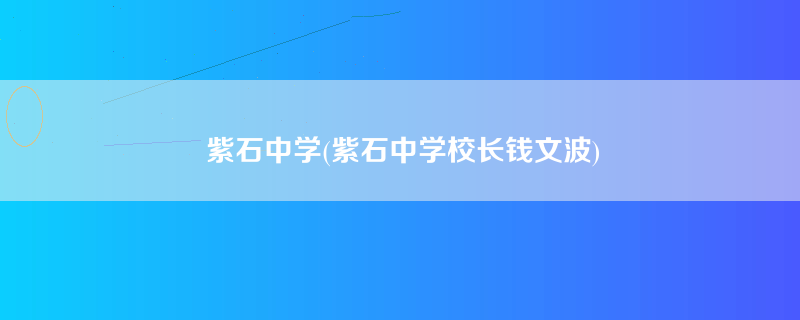 紫石中学(紫石中学校长钱文波)