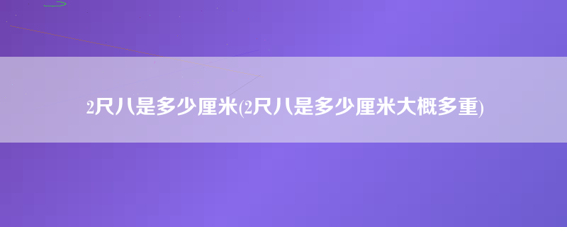 2尺八是多少厘米(2尺八是多少厘米大概多重)