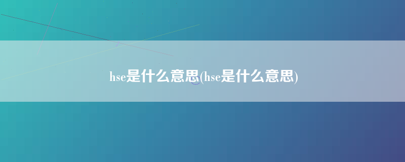 hse是什么意思(hse是什么意思)