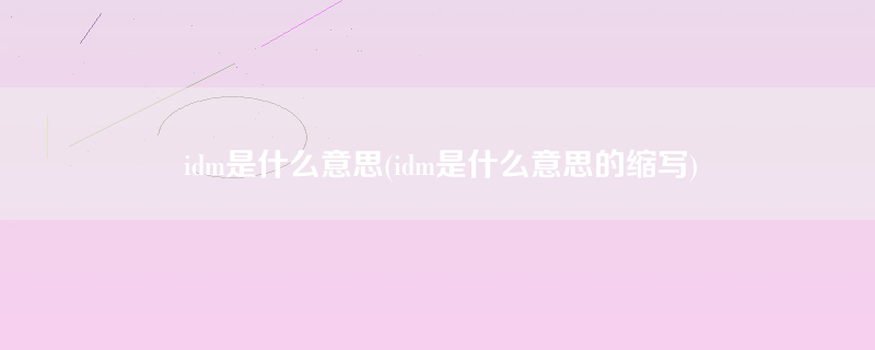 idm是什么意思(idm是什么意思的缩写)