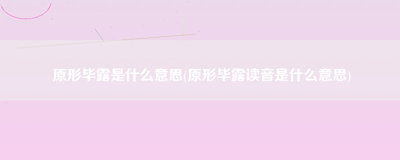 原形毕露是什么意思(原形毕露读音是什么意思)