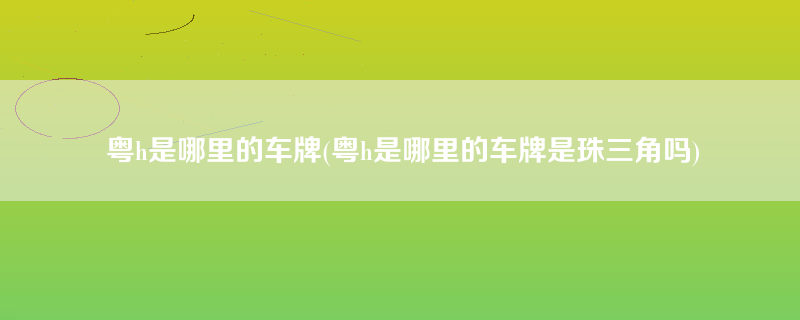 粤h是哪里的车牌(粤h是哪里的车牌是珠三角吗)