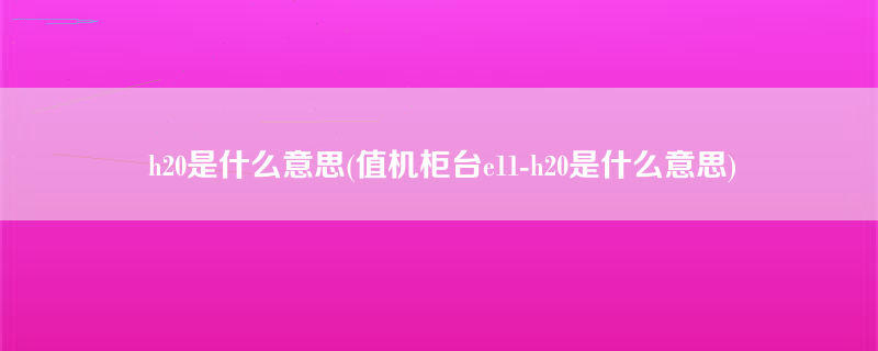 h20是什么意思(值机柜台e11-h20是什么意思)