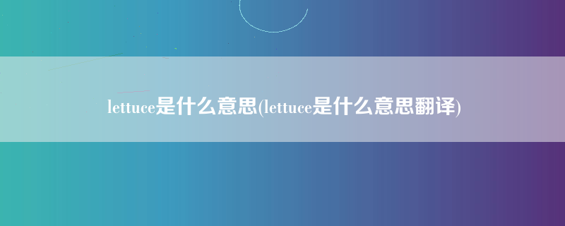 lettuce是什么意思(lettuce是什么意思翻译)