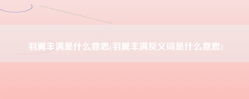 羽翼丰满是什么意思(羽翼丰满反义词是什么意思)