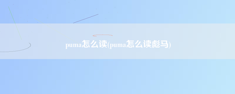 puma怎么读(puma怎么读彪马)