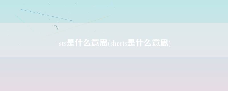 sts是什么意思(shorts是什么意思)