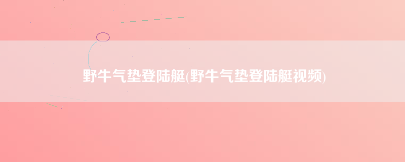 野牛气垫登陆艇(野牛气垫登陆艇视频)