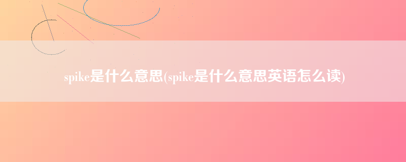 spike是什么意思(spike是什么意思英语怎么读)