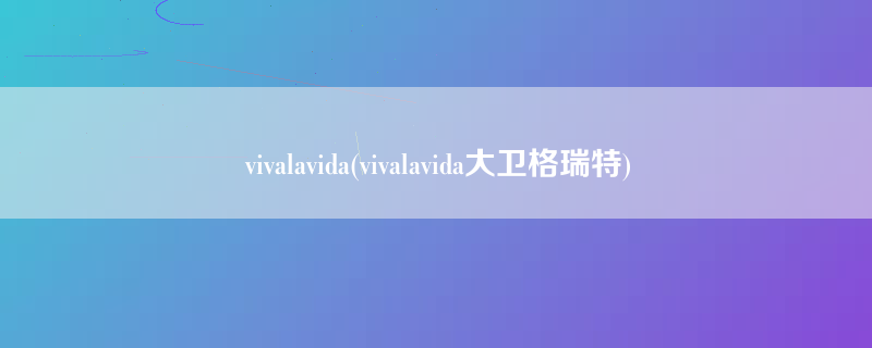 vivalavida(vivalavida大卫格瑞特)