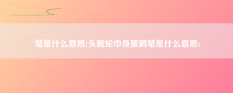 氅是什么意思(头戴纶巾身披鹤氅是什么意思)