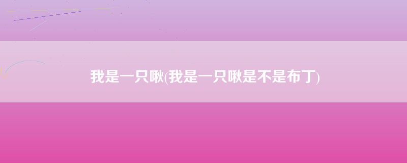 我是一只啾(我是一只啾是不是布丁)