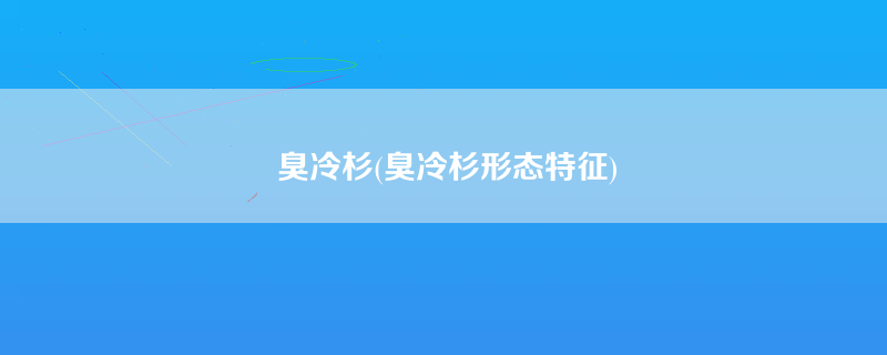 臭冷杉(臭冷杉形态特征)