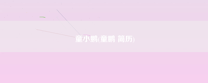 童小鹏(童鹏 简历)