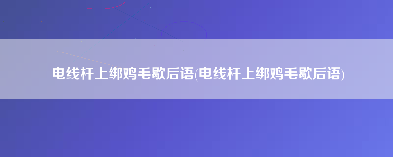 电线杆上绑鸡毛歇后语(电线杆上绑鸡毛歇后语)