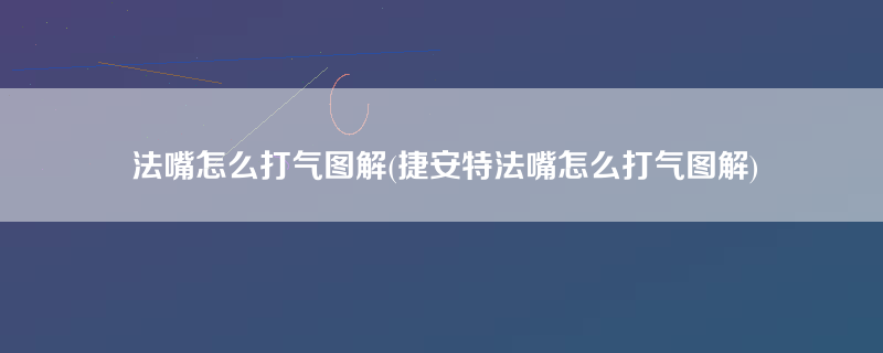 法嘴怎么打气图解(捷安特法嘴怎么打气图解)