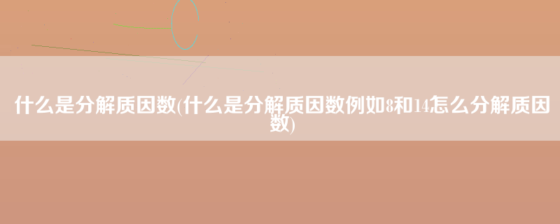 什么是分解质因数(什么是分解质因数例如8和14怎么分解质因数)