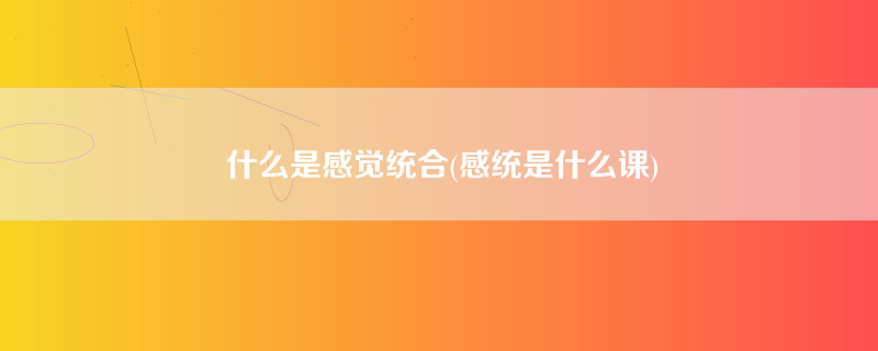 什么是感觉统合(感统是什么课)