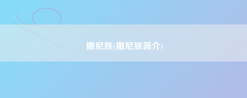 撒尼族(撒尼族简介)