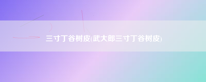 三寸丁谷树皮(武大郎三寸丁谷树皮)