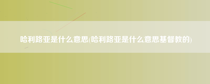 哈利路亚是什么意思(哈利路亚是什么意思基督教的)