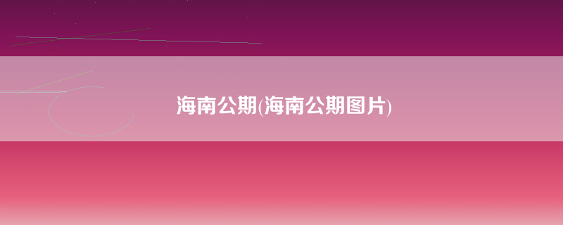 海南公期(海南公期图片)