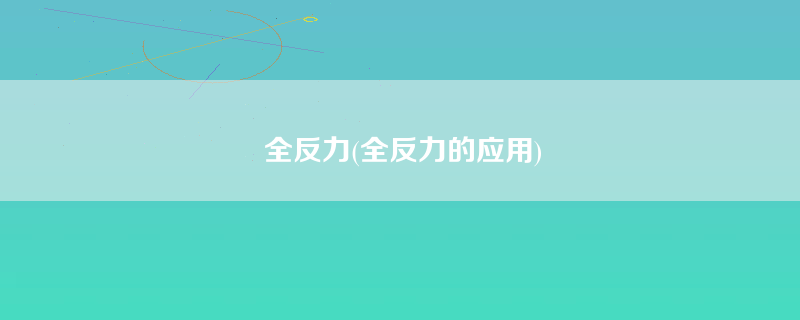 全反力(全反力的应用)