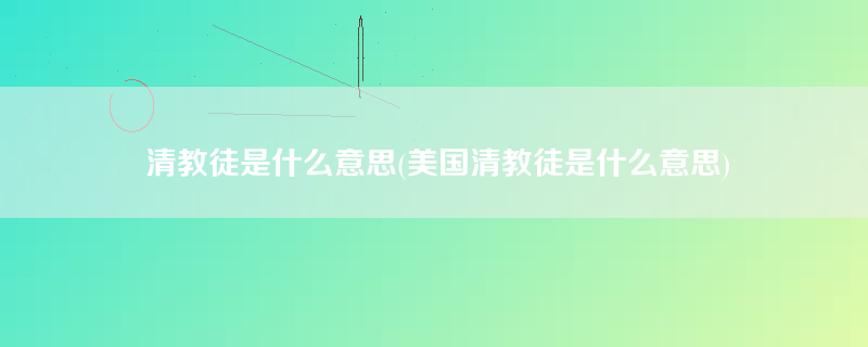 清教徒是什么意思(美国清教徒是什么意思)