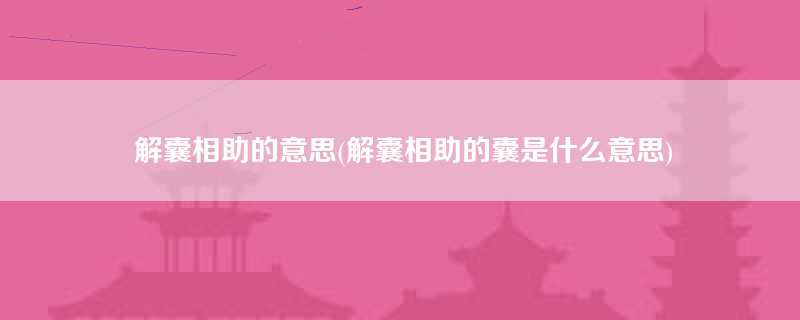 解囊相助的意思(解囊相助的囊是什么意思)