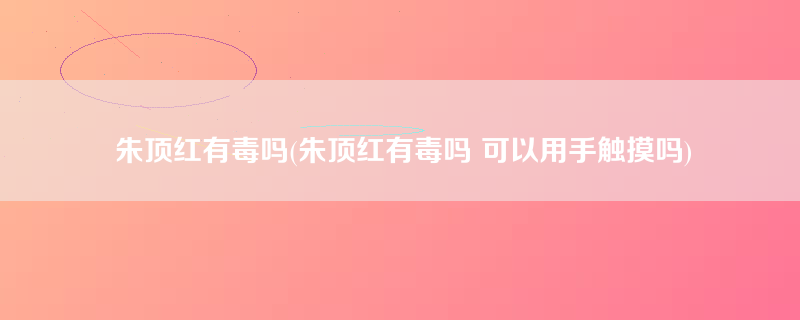 朱顶红有毒吗(朱顶红有毒吗 可以用手触摸吗)