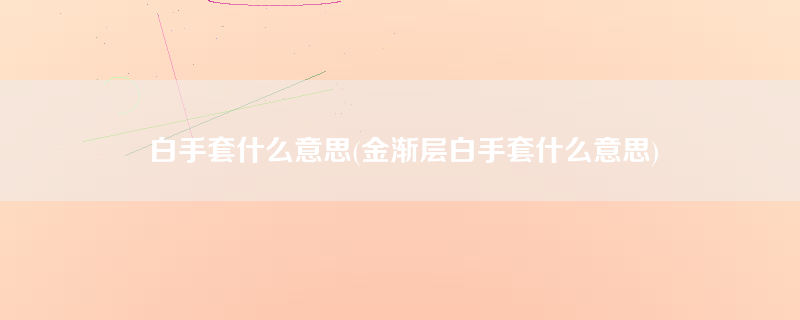 白手套什么意思(金渐层白手套什么意思)