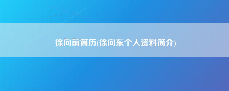 徐向前简历(徐向东个人资料简介)