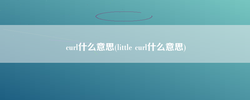 curl什么意思(little curl什么意思)